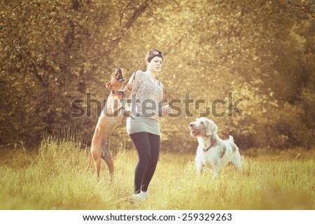 deerhound  and pointer dog  a woman in walking in autumn nature background