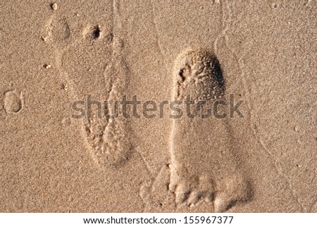 Imprints of little feet in the sand/Little feet/Imprints of little feet in the sand