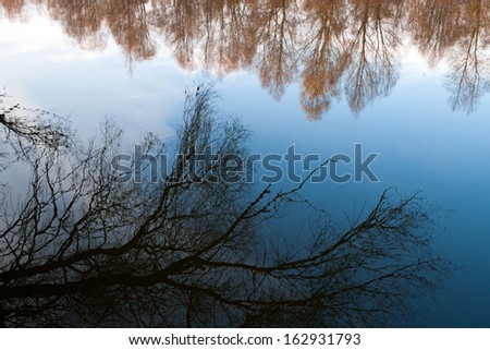 Reflections in the water/Reflections in the water/Reflections in the water
