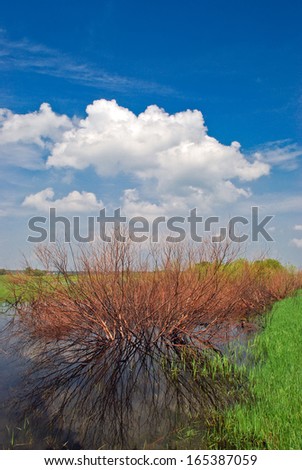 Beautiful spring landscape on a background of blue sky/Spring landscape/Spring landscape