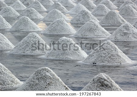 heap of sea salt in salt farm