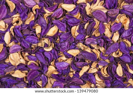 Beautiful background of dry flowers