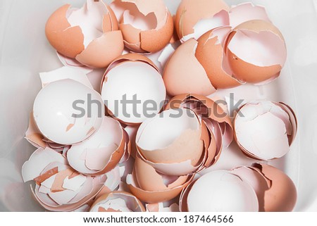 broken eggs