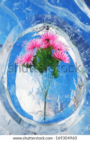 Flowers in ice