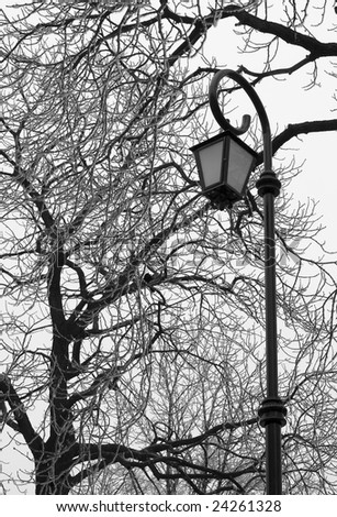 Black and white photo of street lamp on a tree background