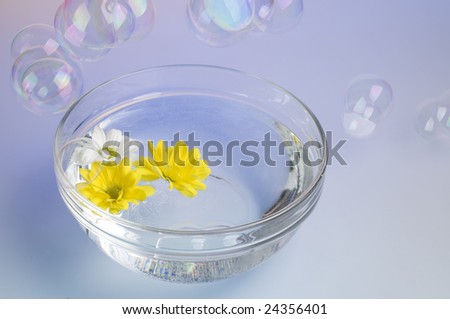Sea salt dissolved in  water with flowers and soap bubbles.