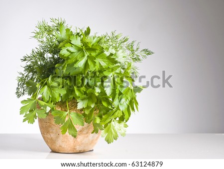 Fresh green  herbs in a pot over white background