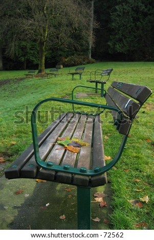 A semi circle of park benches. One bench has a few leaves on it.