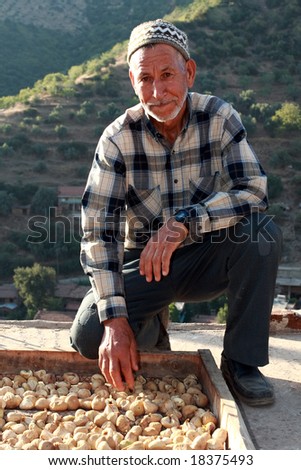 old man working with dried fruits