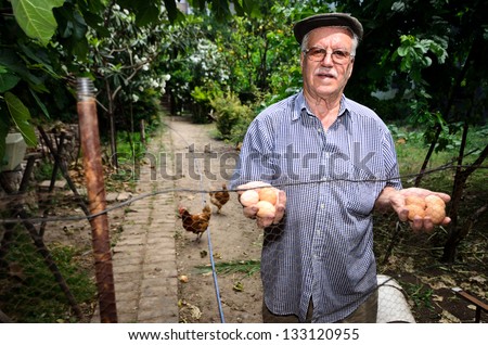 Old man holding eggs with hens running in the background