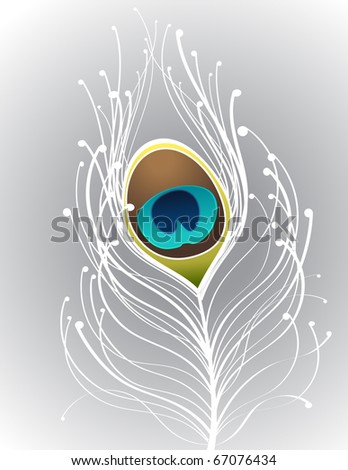 stock vector illustration with gradient and white peacock feather