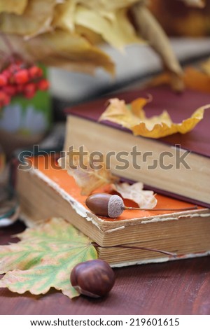 Still life with books and autumn leaves