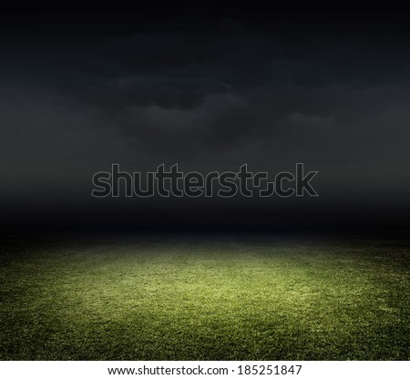 Stadium grasss