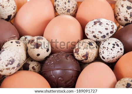 chicken, quail and chocolate eggs