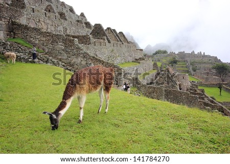 Machu Picchu archaeological site of pre-Columbian civilization of the Incas abandoned only city on the Andes cordillera mountains archeology peru lima
