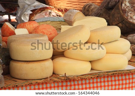 pecorino cheese from ewe\'s milk sheep typical food supply florence