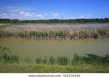 po delta marshes and ponds for water containment boxes expansion wetlands for migratory birds stop