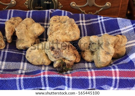 Italian white truffle cuisine