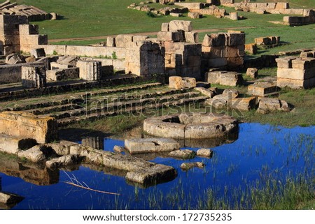 selinunte acropolis and fortified walls ancient Greek city situated on the southwestern coast of Sicily