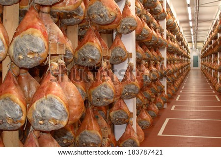 salting hams pork processing pork ham salami mortadella sausage typical industrial processes farming livestock breeding