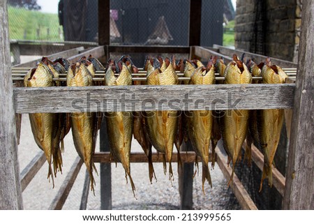 dried and smoked herring dish dutch netherlands