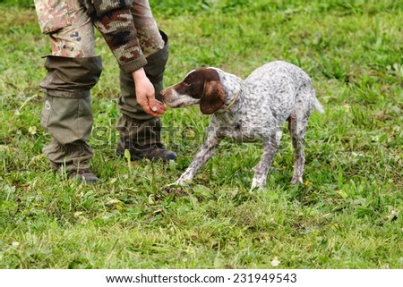 truffle sniffing dogs to find truffle