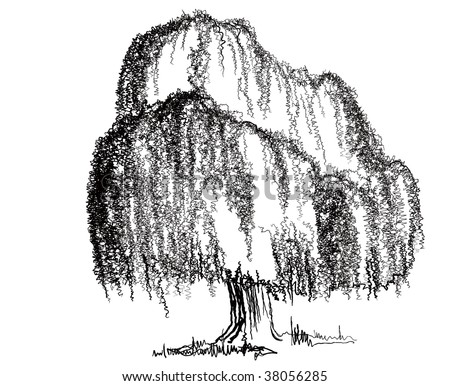 dates tree drawings. stock photo : tree, drawing