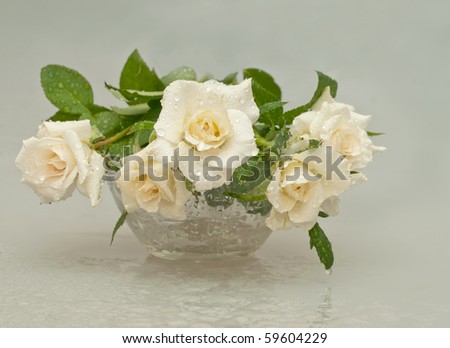 still life,rose, flower