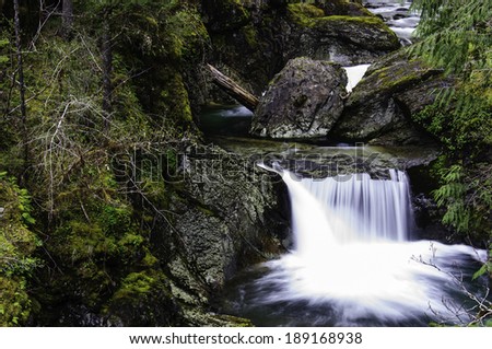 Cedar Creek Waterfall in the Opal Creek Wilderness area