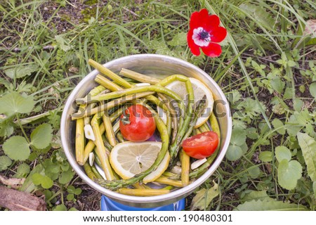 fresh asparagus, cherry tomatoes and lemon cooked on Camping Stove
