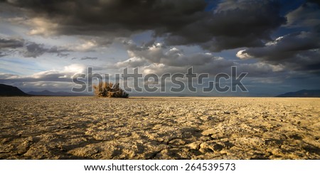 Barren desert lake bed playa with one bush and sunset sky.