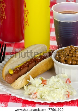 Picnic lunch of hot dog, coleslaw & beans