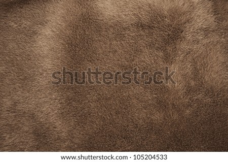 Natural brown fur texture