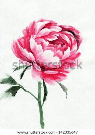 Watercolor painting of a pink peony. Asian style.