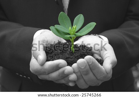 Man wearing a suit holding a small plant, over a black and white background