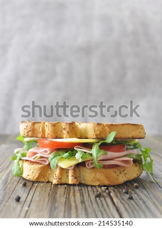 Gourmet deli sandwich with ham and cheese