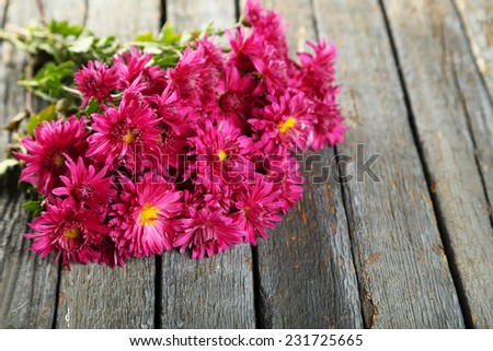 Bouquet of beautiful purple chrysanthemums on wooden background