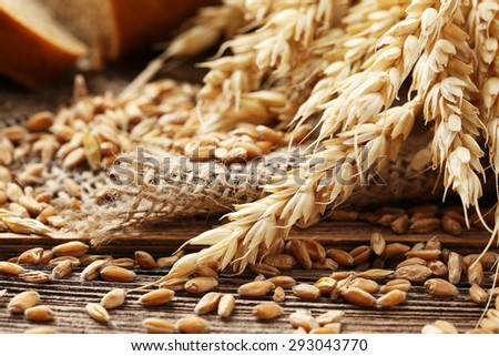 Ears of wheat and wheat grains on brown wooden background