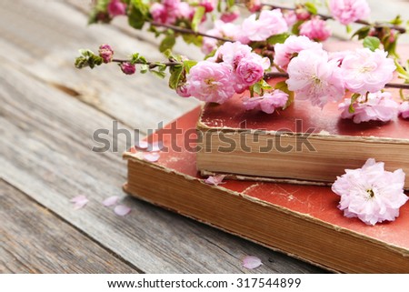 Spring flowering branch with old books on grey wooden background