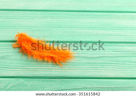 Feather on a mint wooden table