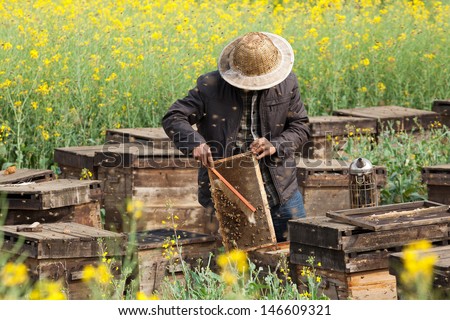 The Beekeeper In The Field Of Flowers.