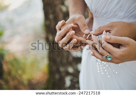 Embraces of hands of the newly-married couple with wedding rings in them.