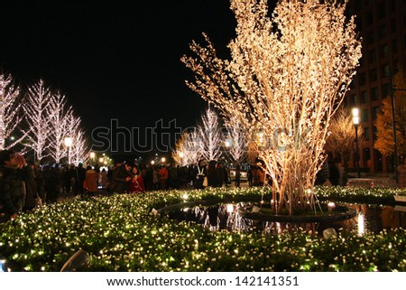 TOKYO, JAPAN - DEC 19: lighting up of the tree in front of Tokyo station on Dec 19, 2011, Tokyo Japan