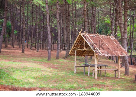 Bamboo hut in the pine forest for resting and relaxing in Maehongson province, Thailand