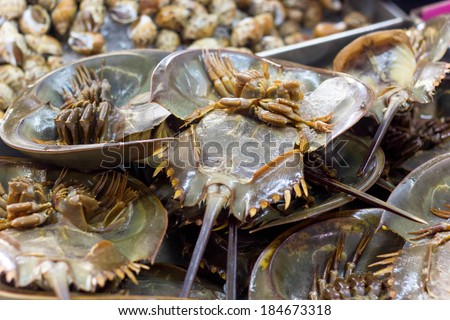 Fresh horseshoe crab in market