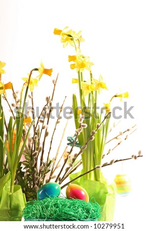 Easter floral arrangement on a withe background.