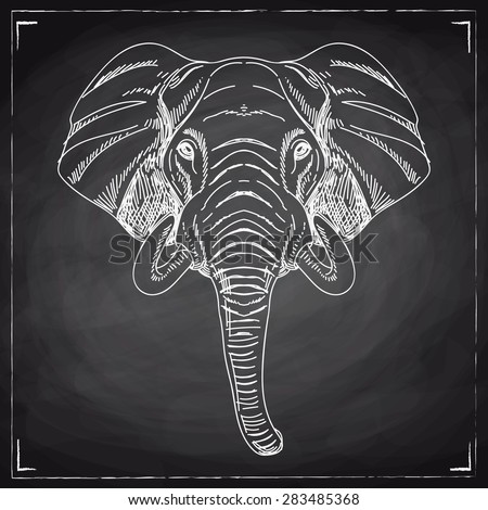 Vector hand drawn illustration with elephant head. Wild Animal. Wild life. Chalkboard.