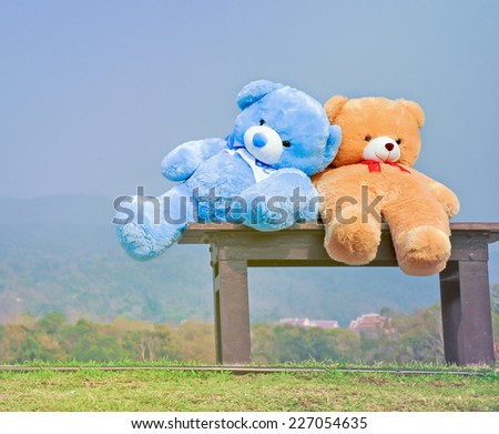 big teddy bears  sitting on wood chair with blue sky background
