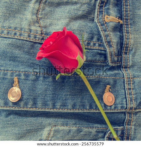 retro red rose flower on blue jeans