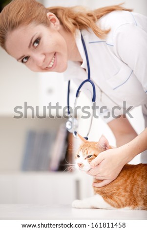 cat and vet